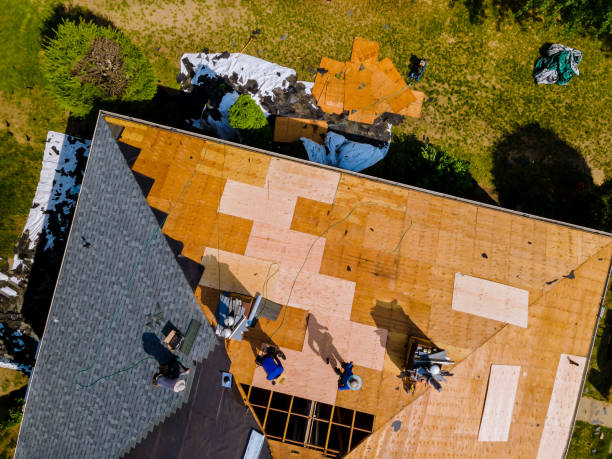 Best Metal Roofing Contractor  in Emporia, VA